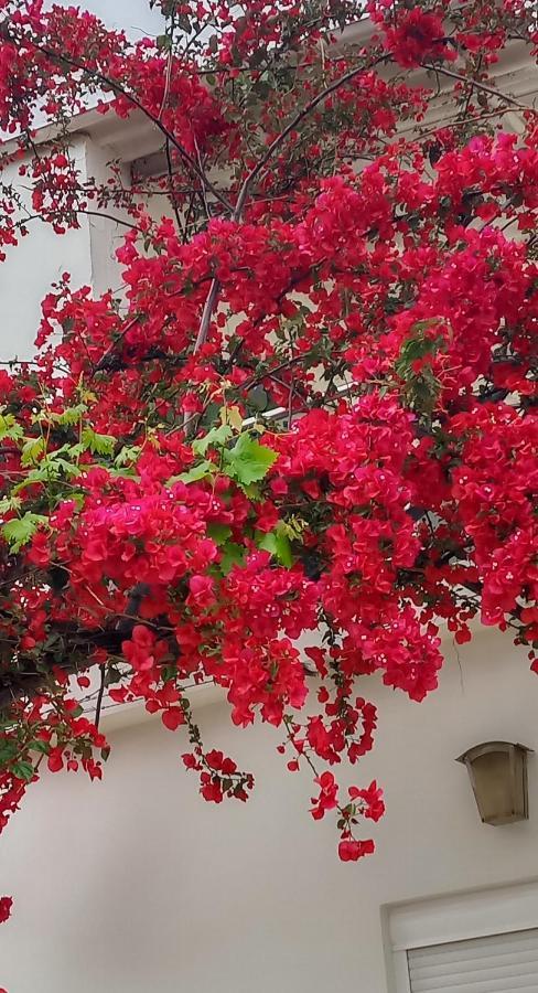 Stamatias Home, Fully Equipped Cottage 5 Minutes From The Sea Chania  Екстер'єр фото